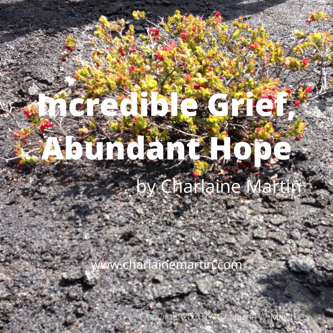 Incredible Grief, Abundant Hope